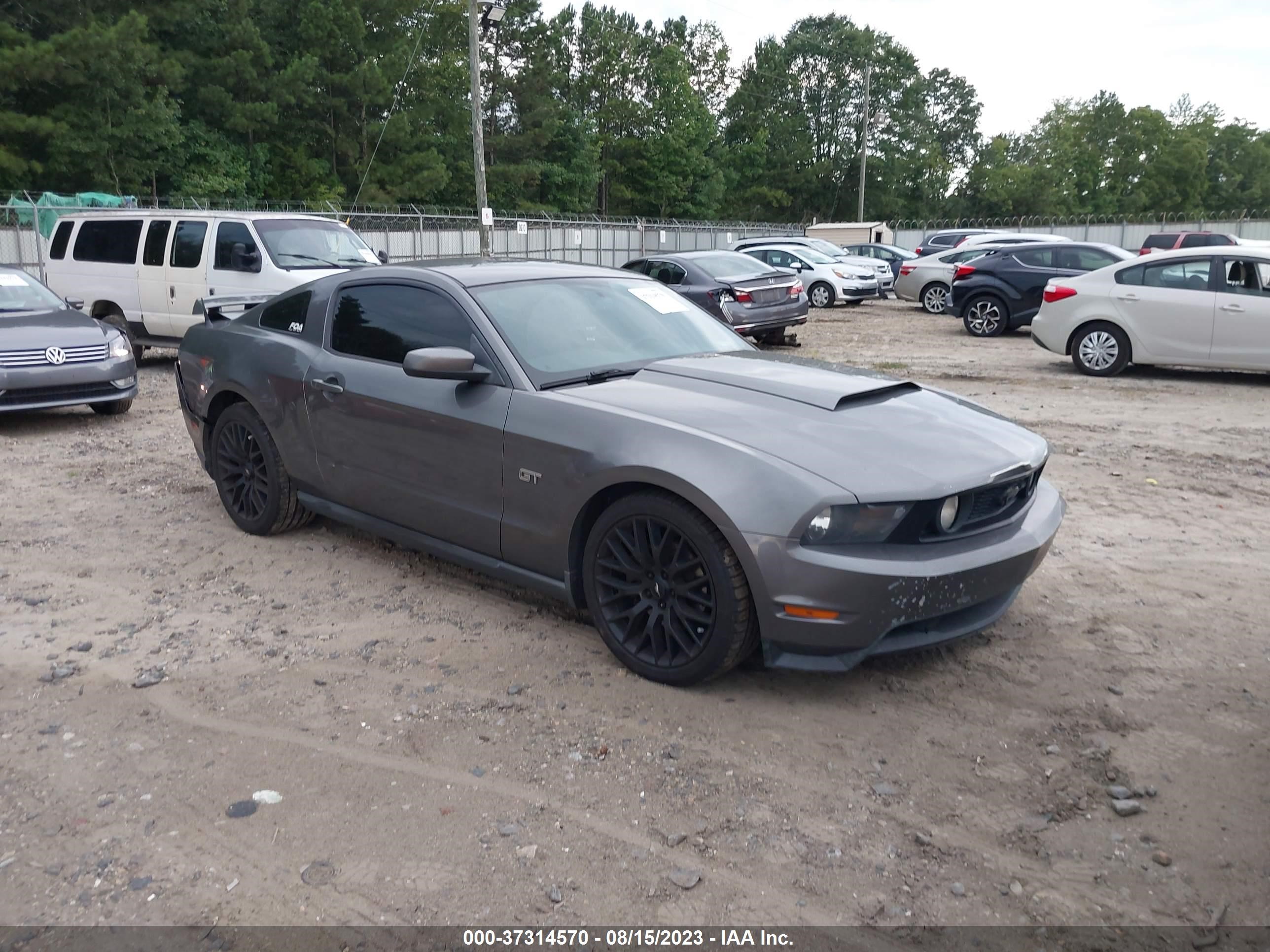 FORD MUSTANG 2010 1zvbp8ch6a5143962