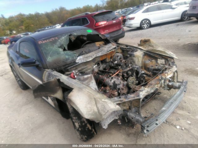 FORD MUSTANG 2010 1zvbp8ch6a5165699