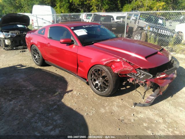 FORD MUSTANG 2010 1zvbp8ch7a5104491