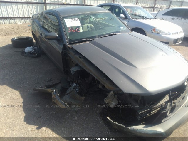 FORD MUSTANG 2010 1zvbp8ch7a5141508