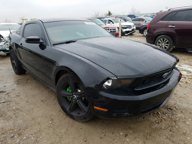 FORD MUSTANG GT 2010 1zvbp8ch8a5104421