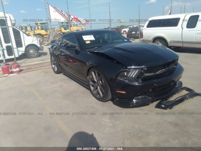 FORD MUSTANG 2010 1zvbp8ch8a5118576