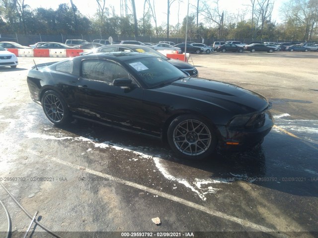 FORD MUSTANG 2010 1zvbp8ch9a5135077