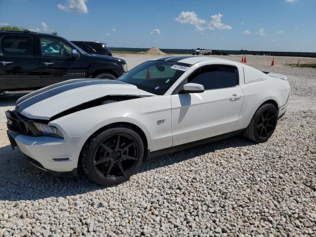 FORD MUSTANG GT 2010 1zvbp8ch9a5144989