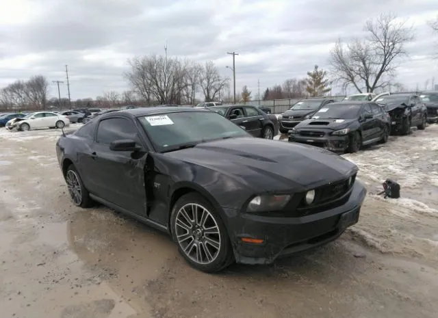 FORD MUSTANG 2010 1zvbp8chxa5100936