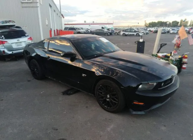 FORD MUSTANG 2010 1zvbp8chxa5109068