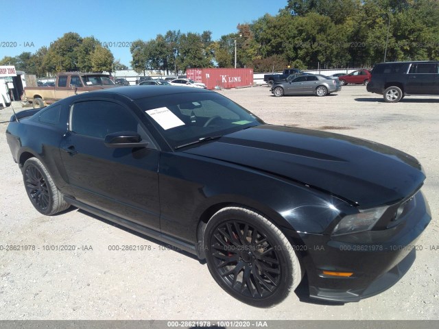 FORD MUSTANG 2010 1zvbp8chxa5144807