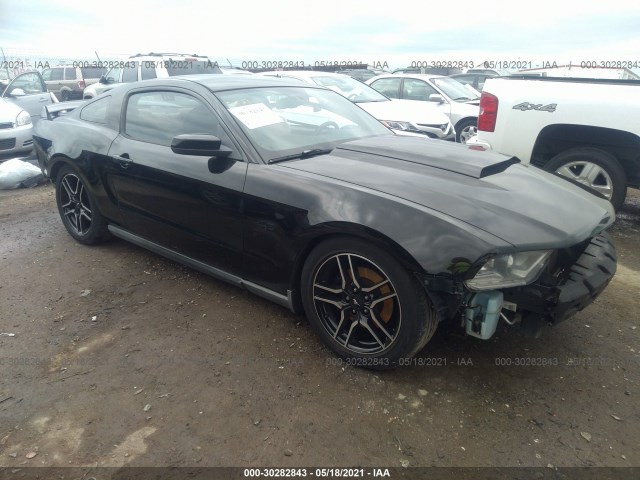 FORD MUSTANG 2010 1zvbp8chxa5145861