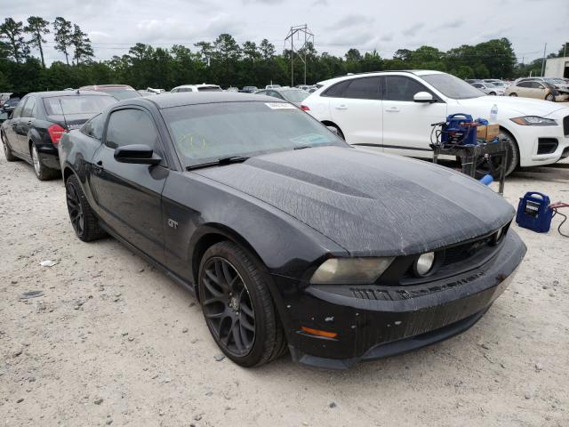 FORD MUSTANG GT 2010 1zvbp8chxa5156116