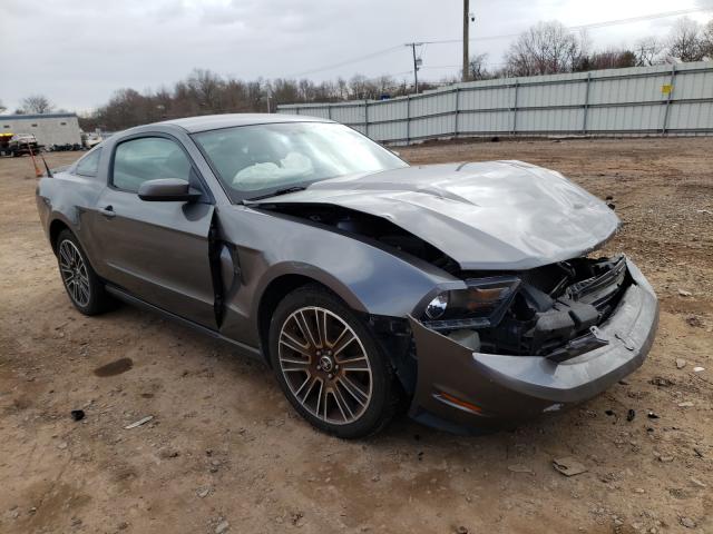 FORD MUSTANG GT 2010 1zvbp8chxa5162112