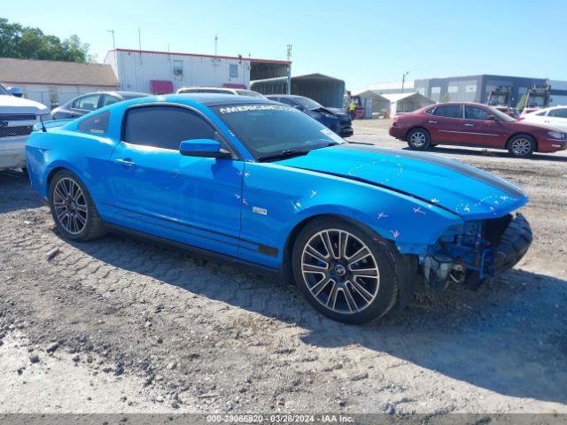 FORD MUSTANG 2010 1zvbp8chxa5166094