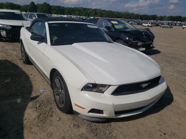 FORD MUSTANG 2011 1zvbp8em0b5108863