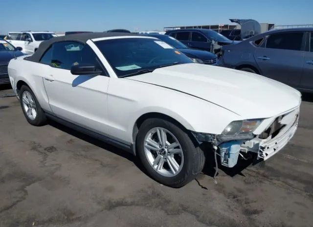 FORD MUSTANG 2011 1zvbp8em0b5118213