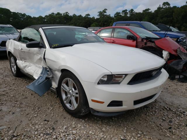 FORD MUSTANG 2011 1zvbp8em0b5129311