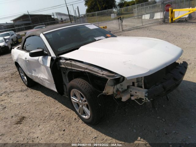 FORD MUSTANG 2011 1zvbp8em0b5129339