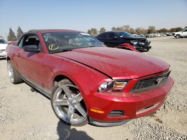 FORD MUSTANG 2011 1zvbp8em0b5156136