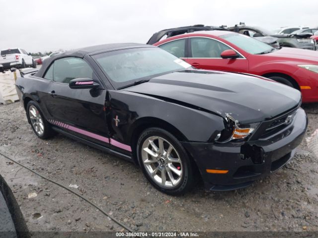 FORD MUSTANG 2011 1zvbp8em0b5156895