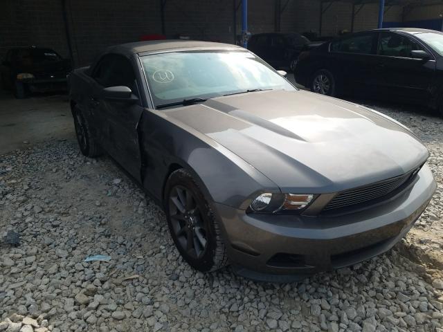 FORD MUSTANG 2011 1zvbp8em0b5164737