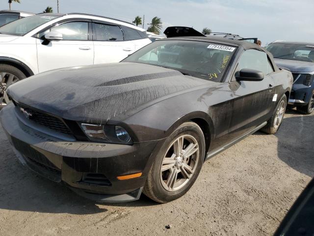 FORD MUSTANG 2012 1zvbp8em0c5203344