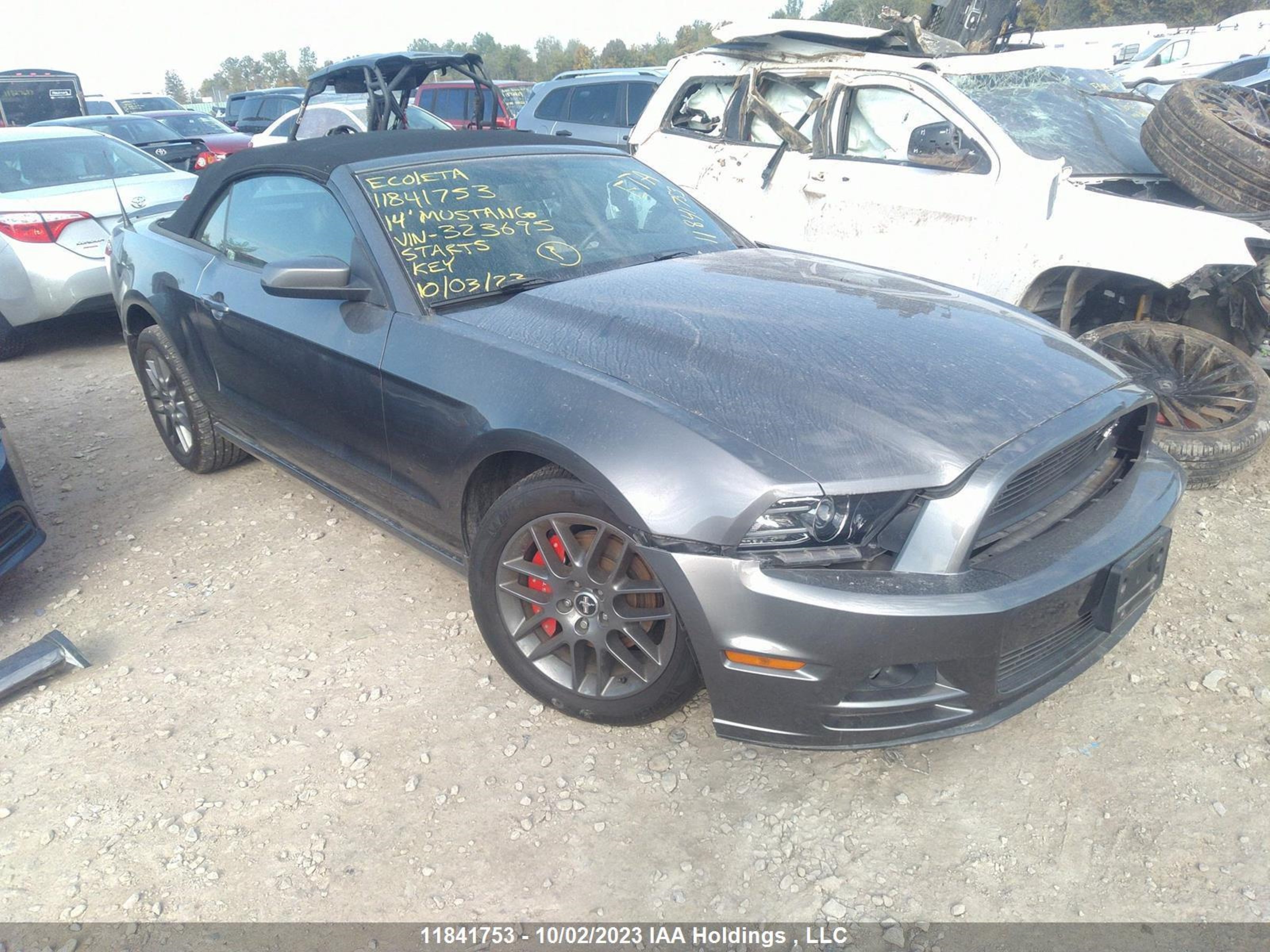 FORD MUSTANG 2014 1zvbp8em0e5323695