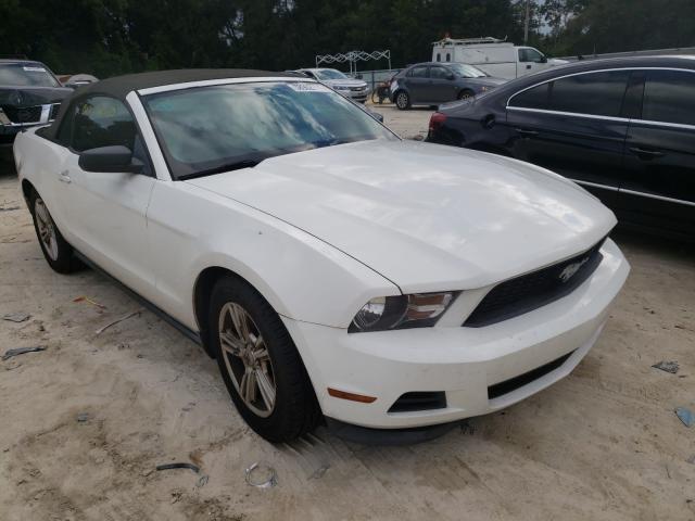 FORD MUSTANG 2011 1zvbp8em1b5129429