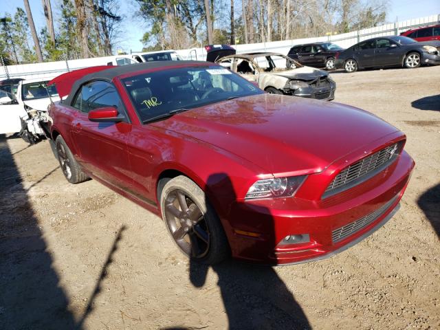 FORD MUSTANG 2014 1zvbp8em1e5228580