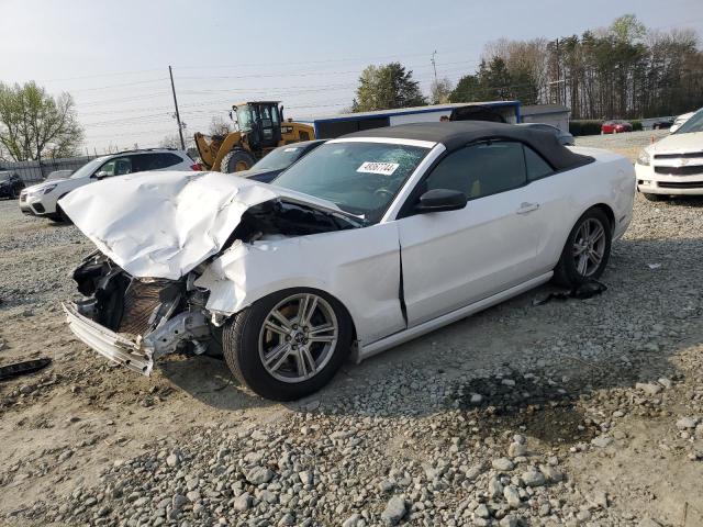 FORD MUSTANG 2014 1zvbp8em1e5240423