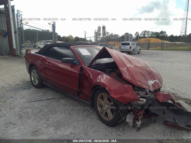 FORD MUSTANG 2011 1zvbp8em2b5101221