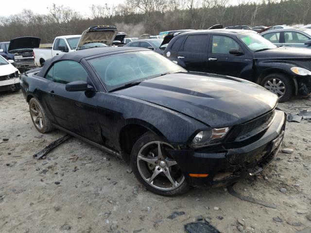 FORD MUSTANG 2011 1zvbp8em2b5126717