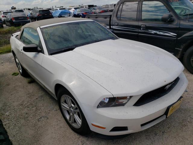 FORD MUSTANG 2011 1zvbp8em2b5148409