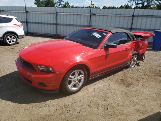 FORD MUSTANG 2011 1zvbp8em3b5100966