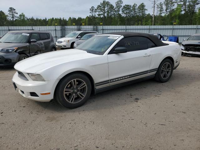 FORD MUSTANG 2011 1zvbp8em3b5108887