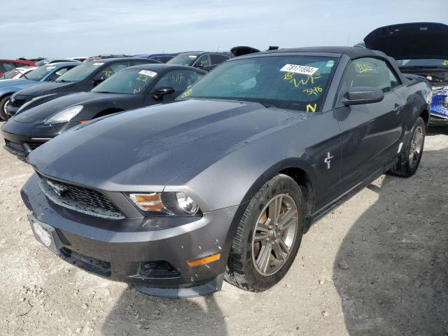 FORD MUSTANG 2011 1zvbp8em3b5108999