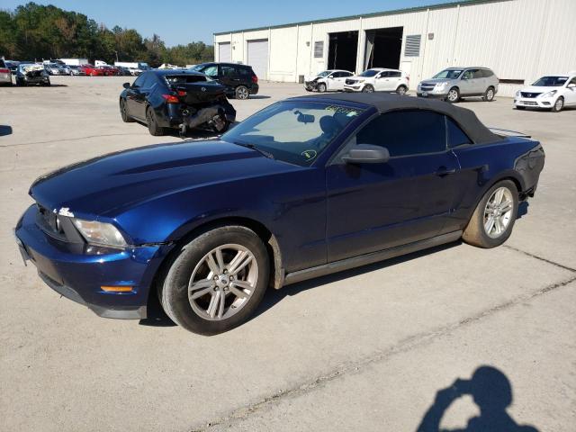 FORD MUSTANG 2011 1zvbp8em3b5128993