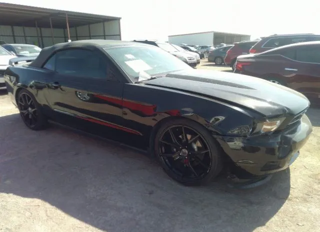 FORD MUSTANG 2011 1zvbp8em3b5146247