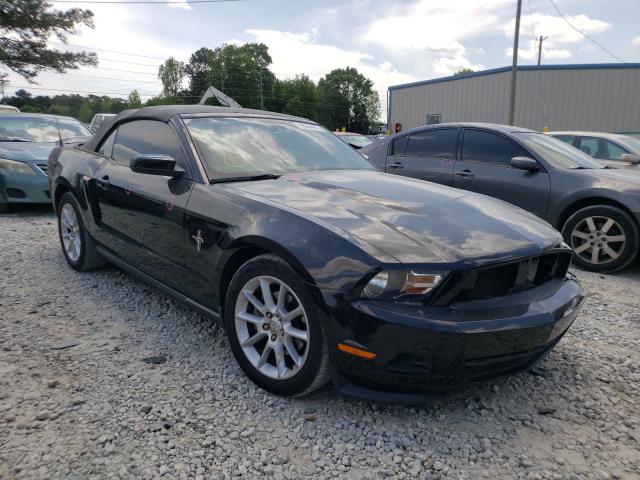 FORD MUSTANG 2011 1zvbp8em3b5146393