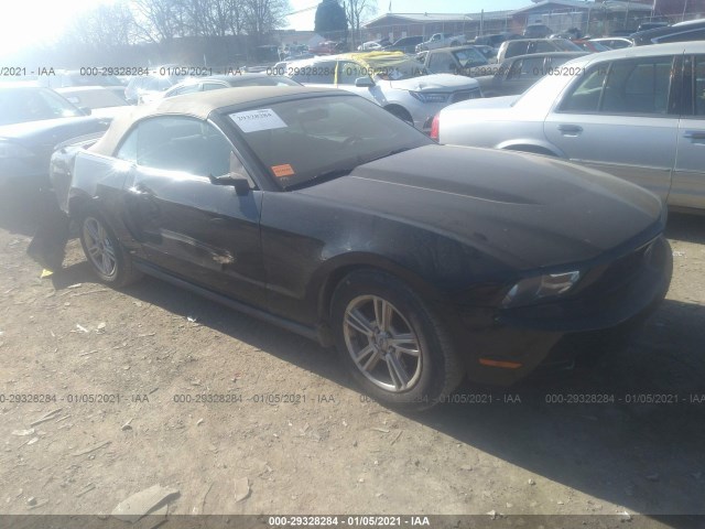 FORD MUSTANG 2011 1zvbp8em3b5152422