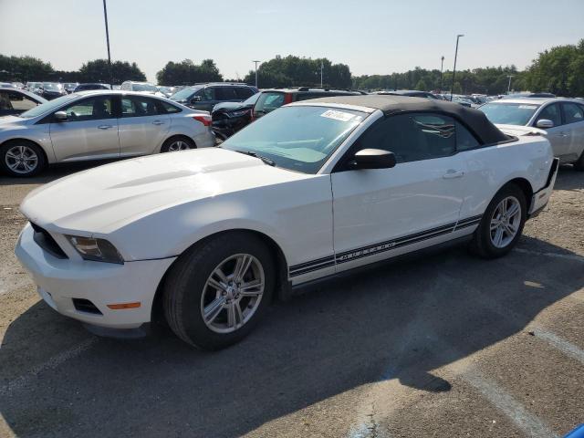 FORD MUSTANG 2011 1zvbp8em3b5163534