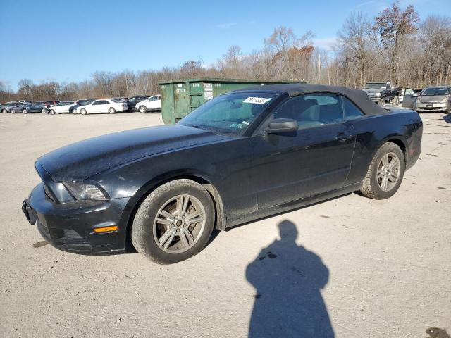 FORD MUSTANG 2013 1zvbp8em3d5234119