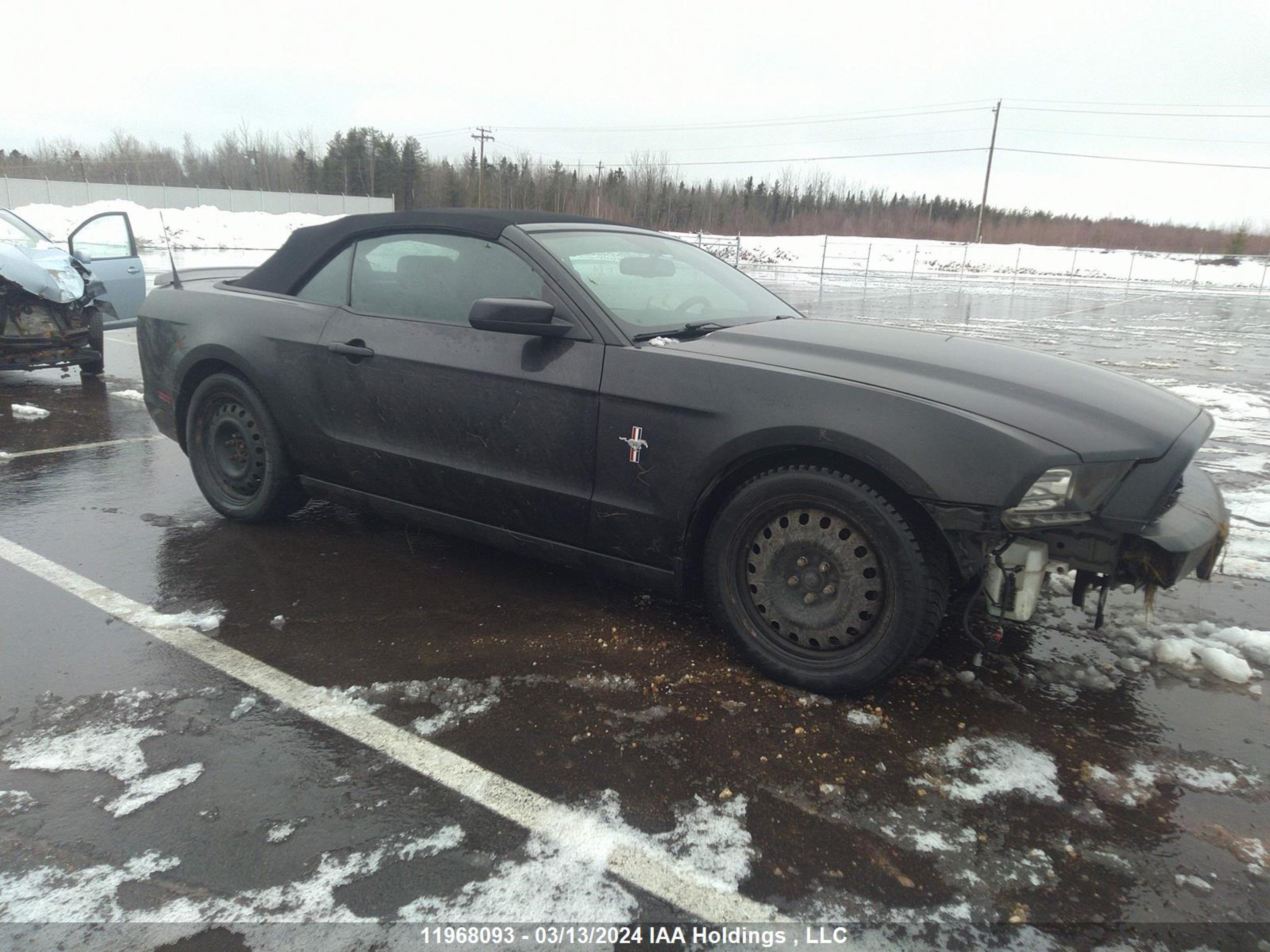 FORD MUSTANG 2014 1zvbp8em3e5307930