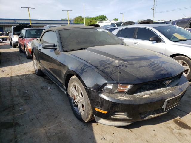 FORD MUSTANG 2011 1zvbp8em4b5101219