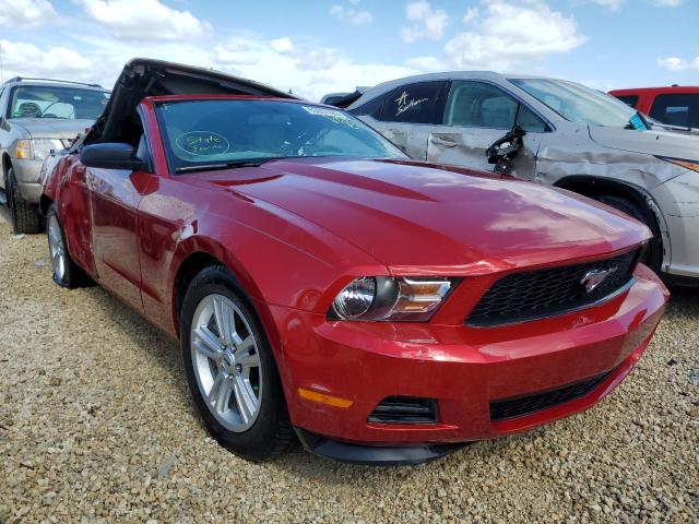 FORD MUSTANG 2011 1zvbp8em4b5141042