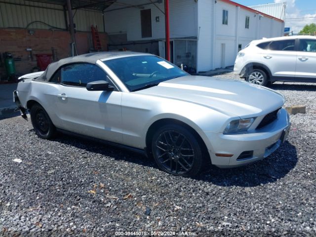 FORD MUSTANG 2011 1zvbp8em4b5148508