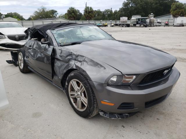 FORD MUSTANG 2011 1zvbp8em5b5124475