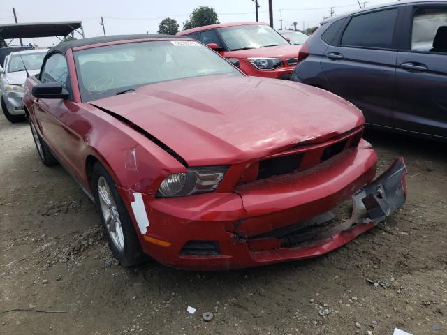 FORD MUSTANG 2011 1zvbp8em5b5129336