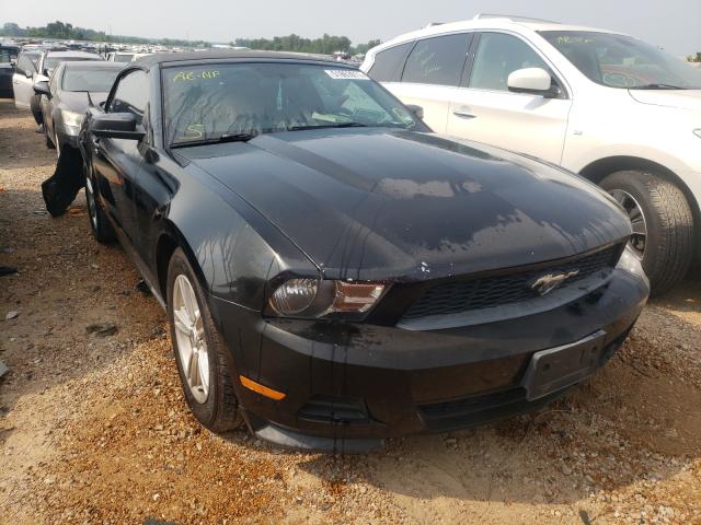 FORD MUSTANG 2011 1zvbp8em5b5129384