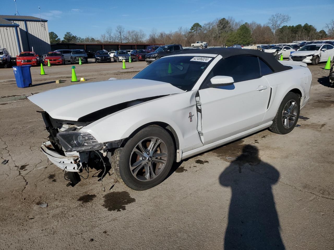 FORD MUSTANG 2014 1zvbp8em5e5211815