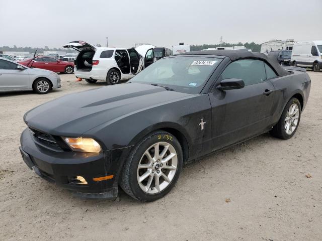 FORD MUSTANG 2011 1zvbp8em6b5110682