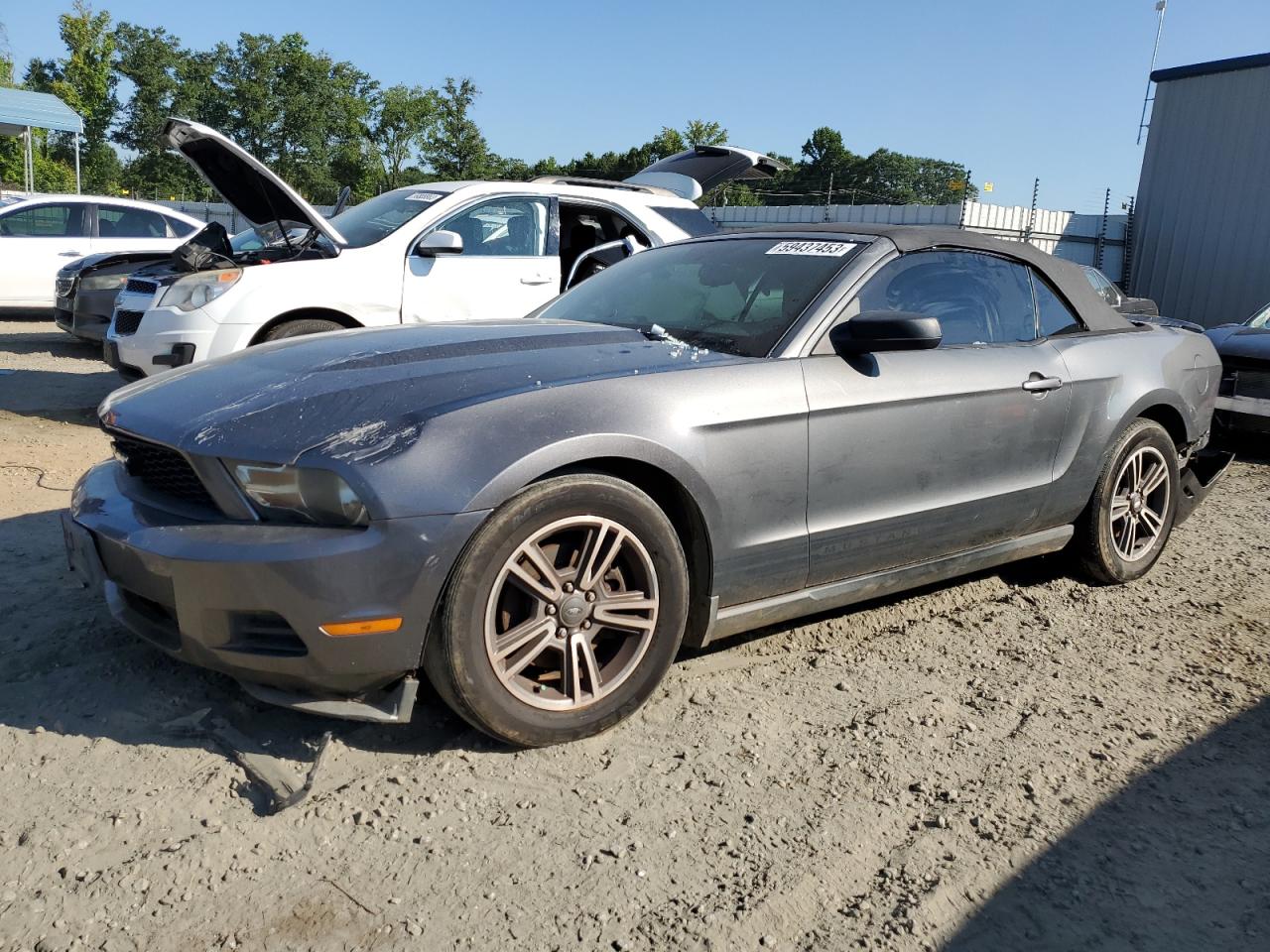 FORD MUSTANG 2011 1zvbp8em6b5111119