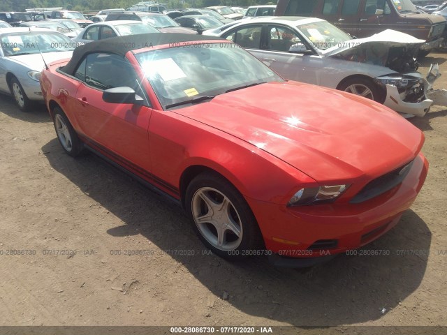 FORD MUSTANG 2011 1zvbp8em6b5111234